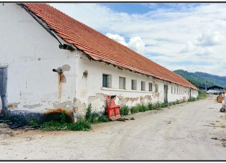Teren agricol intravilan de 59303 mp, în Cheile Râșnoavei