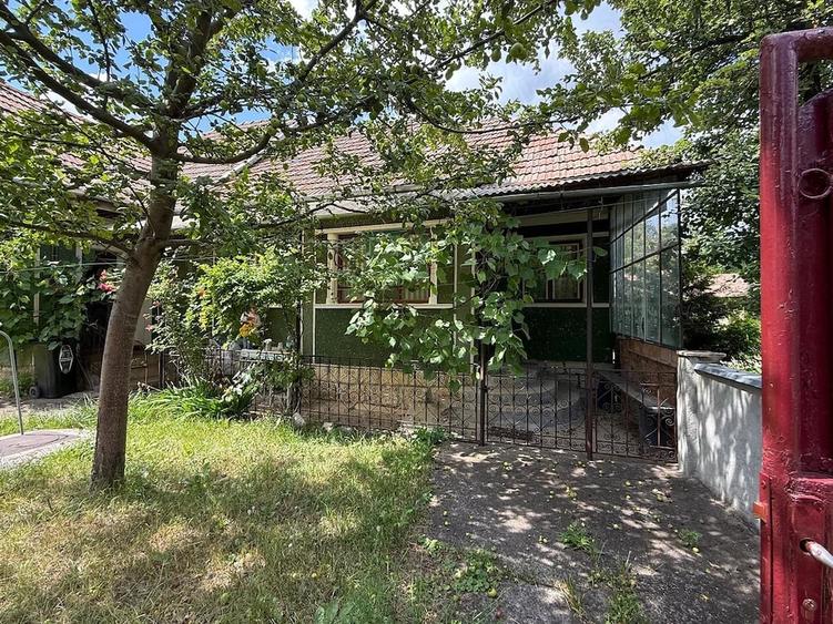 Casă cu Teren 6500 Mp în Dretea