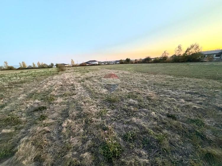 Teren Construcții intravilan de 1500 mp, în Cătălina