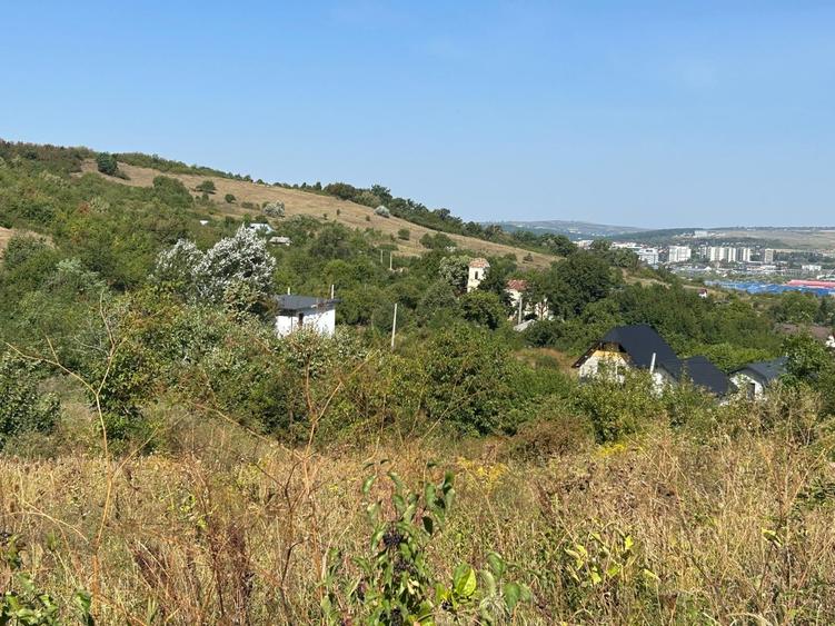 Teren agricol intravilan de 500 mp, în Tomești