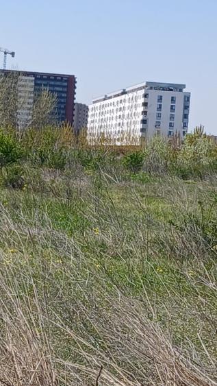 Teren Construcții intravilan de 6100 mp, în Theodor Pallady