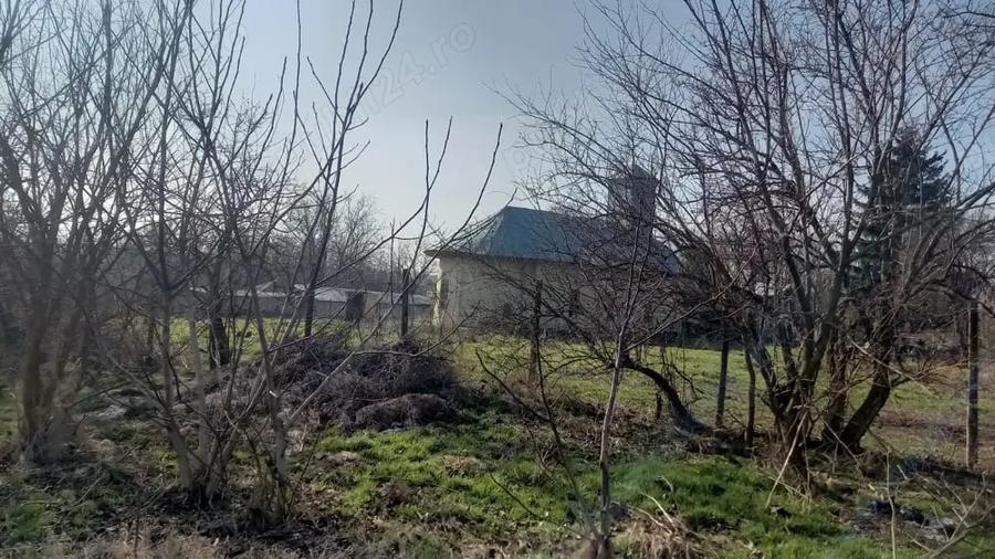 Teren de 10000 mp, în Dârvari