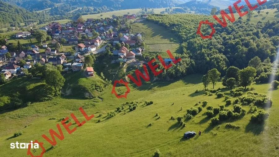 Teren de 8163 mp, în Vama Buzăului
