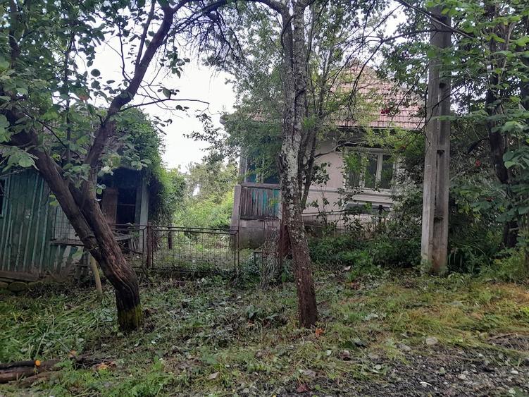 Casă cu Teren 9515 Mp în Dăești