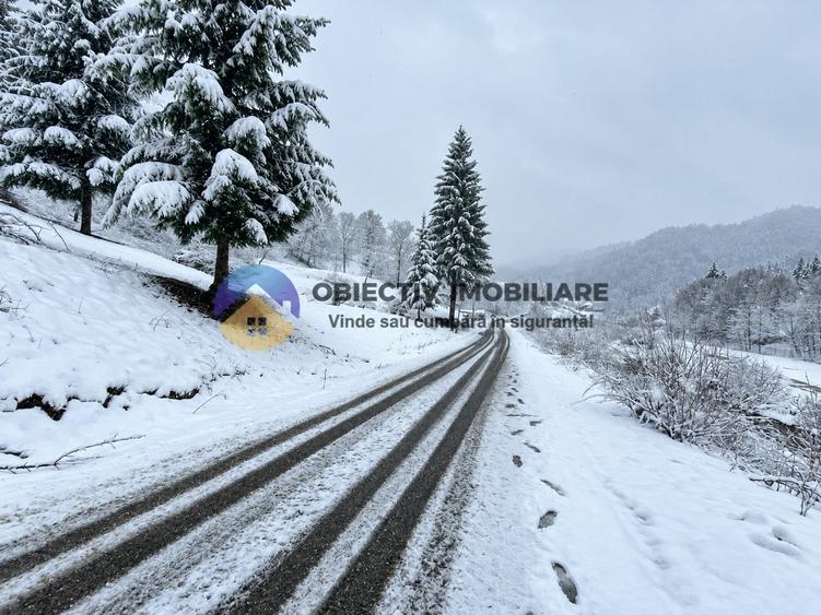 Teren intravilan de 4500 mp, în Pângărați