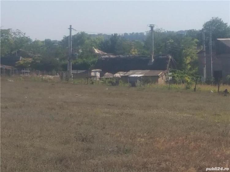 Teren de 3000 mp, în Murighiol
