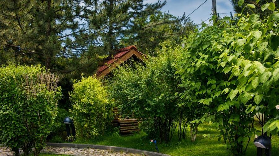 Casă individuală cu 8 camere cu Canalizare în Balotești