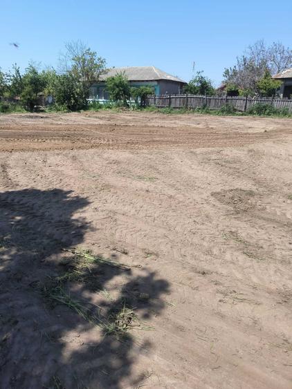 Teren de vanzare, Sat NUCI, Judet Calarasi - 8
