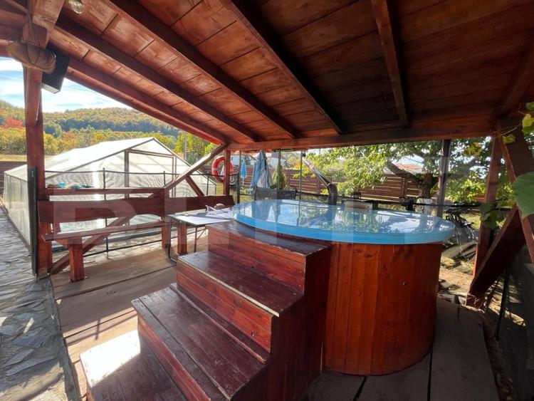Casă individuală cu 3 camere cu Piscina în Damiș