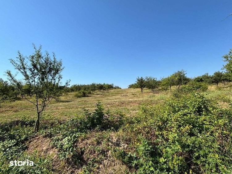 Teren de 2900 mp, în Central
