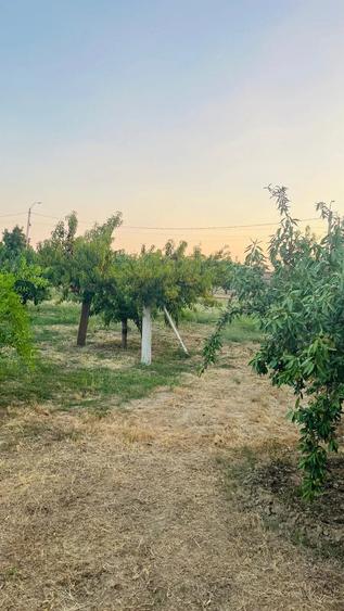 Casă cu 4 camere cu Teren 50000 Mp în Rogova