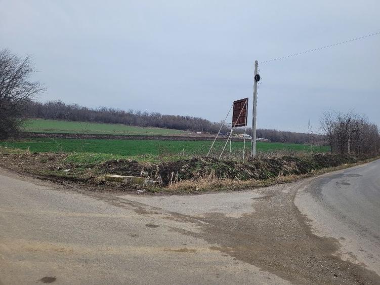 Teren de 17000 mp, în Ghizdaru