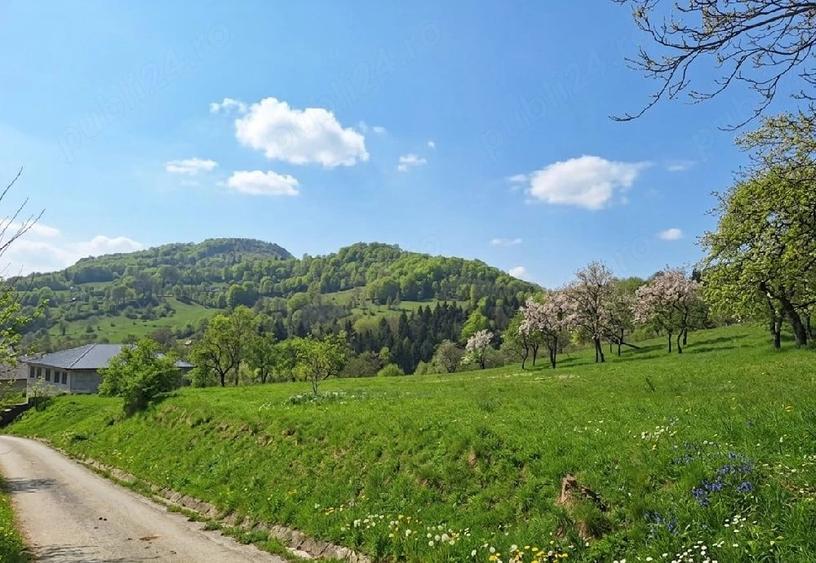 Teren de 4275 mp, în Ilva Mică