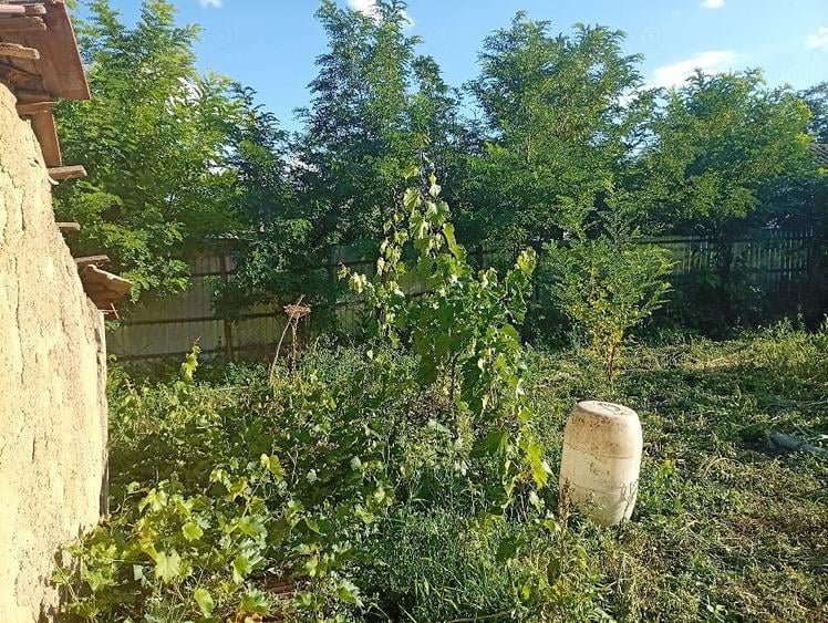 Teren de 1250 mp, în Țuțcani