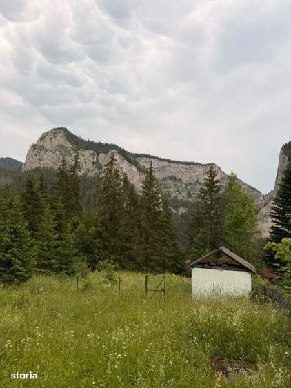 Teren intravilan de vanzare in Lacu Rosu panorama spectaculoasa - 1