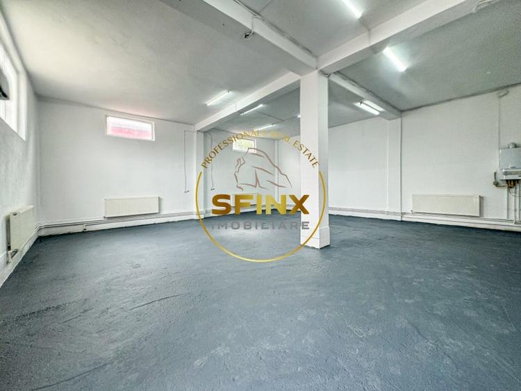 Spațiu industrial, de 123.4700012207 mp, în Theodor Pallady