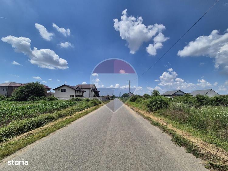Teren intravilan de vanzare 4.087 mp Clinceni Olteni Ilfov - 4