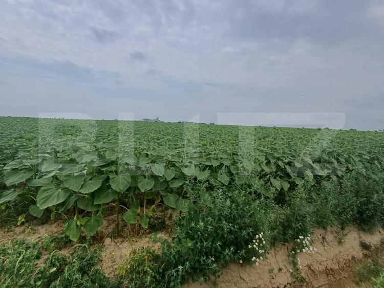 Teren Construcții intravilan de 500 mp, în Exterior Est
