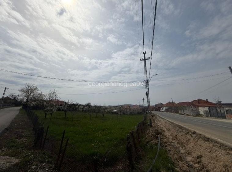 Teren de 1500 mp, în Nord-Est
