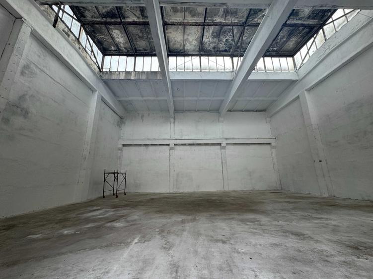 Spațiu comercial, de 1,000 mp, în Vladimirescu