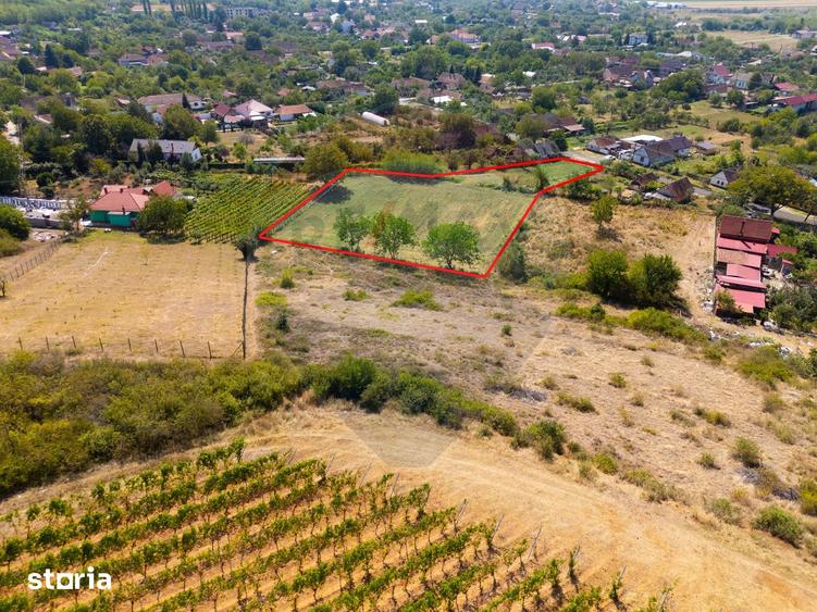 Teren de 4184 mp, în Ghioroc