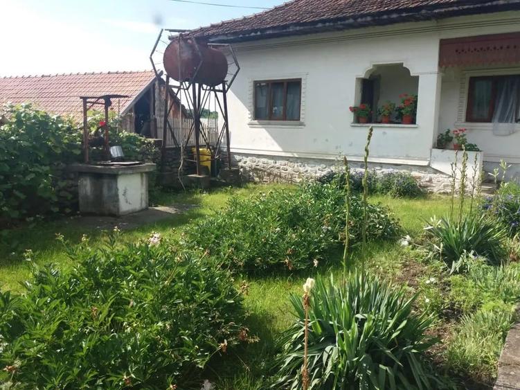 Casă cu 3 camere în Sud