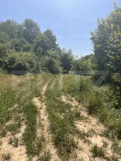 Teren Construcții extravilan de 2900 mp, în Lugoj
