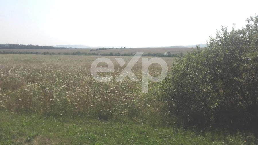 Teren agricol extravilan de 25000 mp, în Șercăița