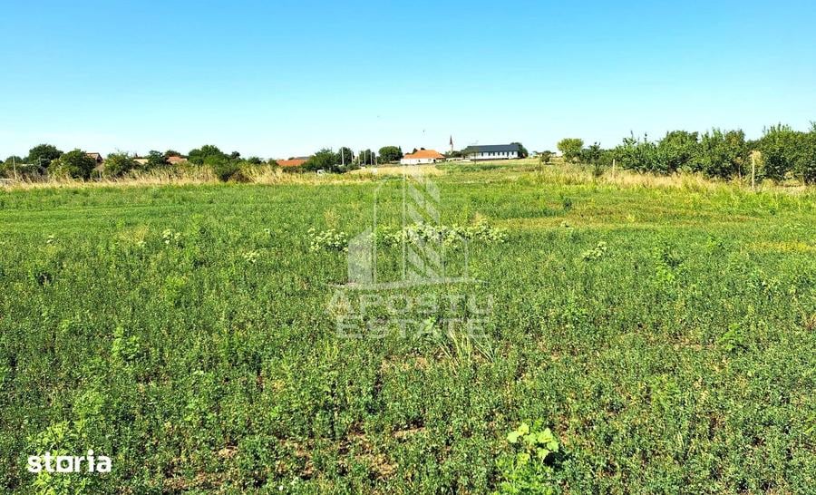 Teren de 6150 mp, în Zădăreni