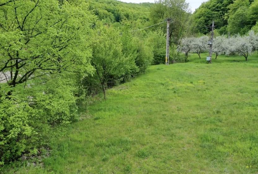 Teren de 20000 mp, în Central