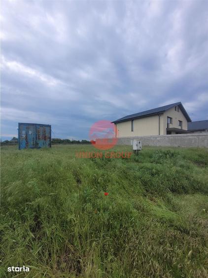 Teren Intravilan, Ovidiu, Spre Poiana,3 loturi de 302 mp fiecare - 1