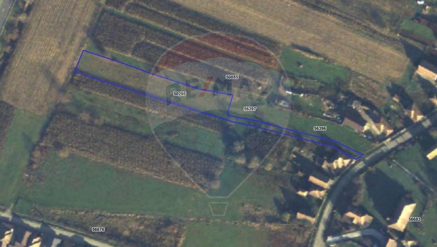 Teren Construcții intravilan de 1330 mp, în Sânpaul