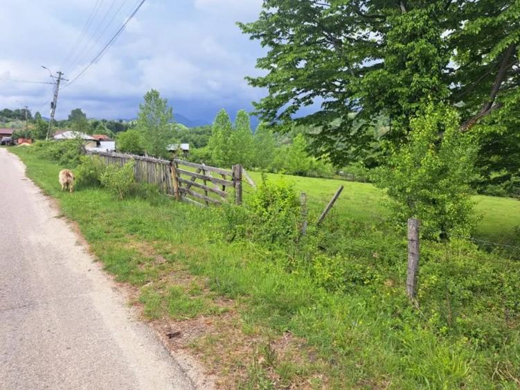 Teren de 5523 mp, în Vaideeni