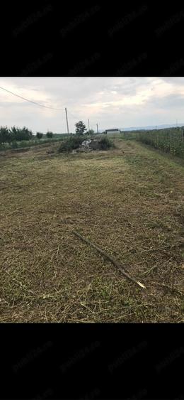 Teren de 800 mp, în Mocira