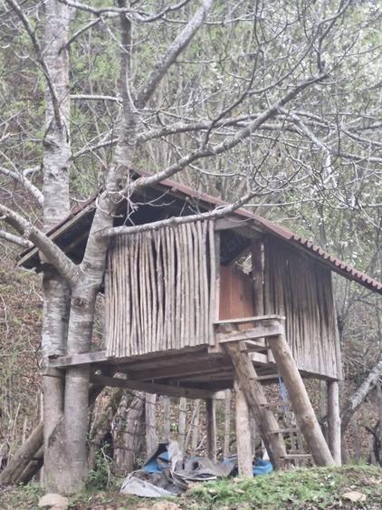 Casă în Ciungetu
