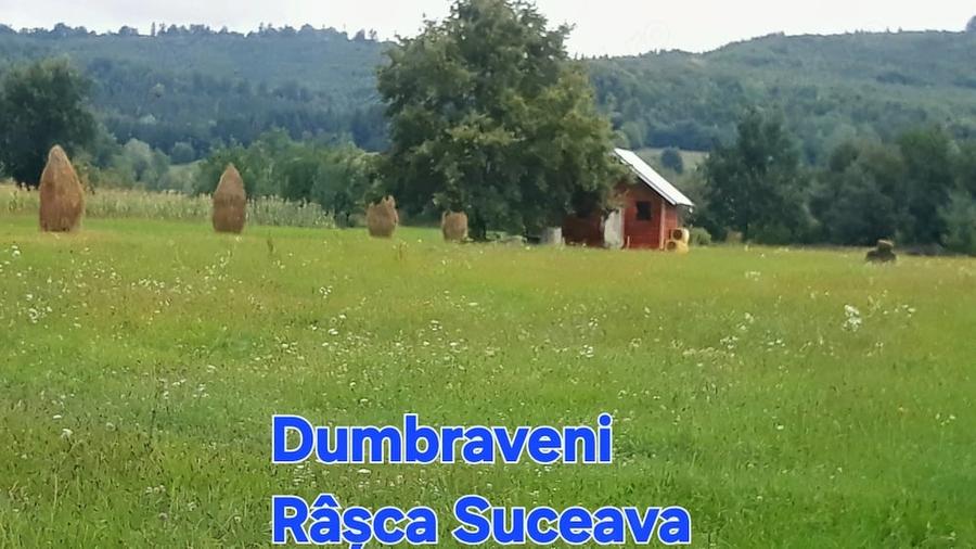 Teren de 6879 mp, în Dumbrăveni