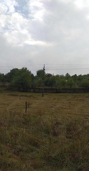 Teren de 4600 mp, în Central
