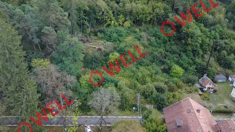 Teren Construcții intravilan de 2642 mp, în Vâlcele