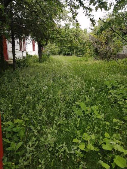 Casă cu 5 camere în Tăriceni