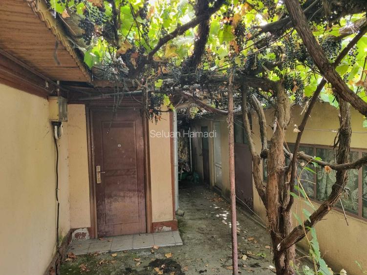 Teren pe colt Colentina - Str Campul cu Narcise 120 m2.