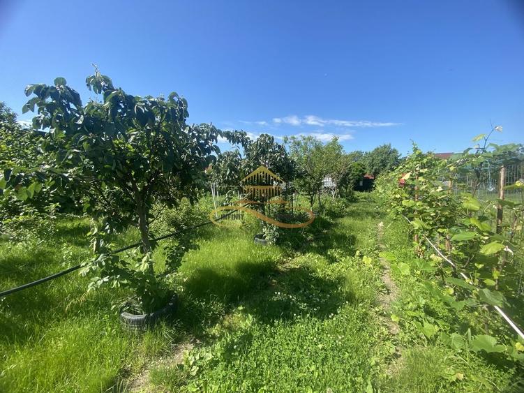 Teren agricol intravilan de 750 mp, în Gherăiești
