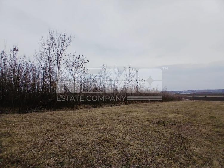 Teren Construcții intravilan de 6000 mp, în Cumpărătura