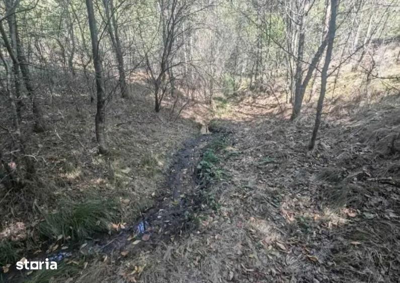 Teren de 1000 mp, în Central