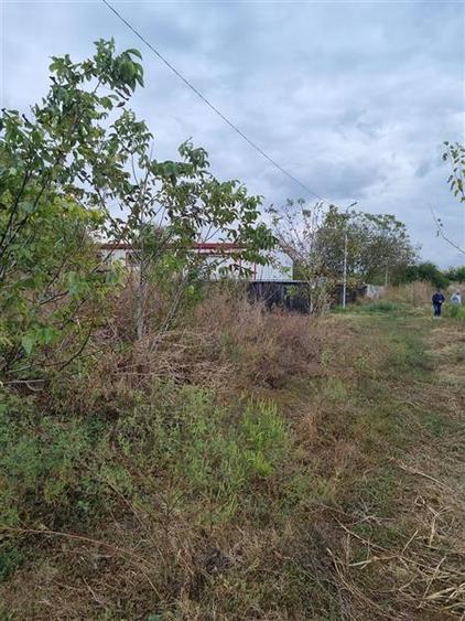 Teren intravilan de 2600 mp, în Găneasa