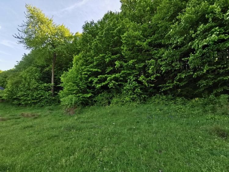 Teren Construcții intravilan de 1000 mp, în Bascov