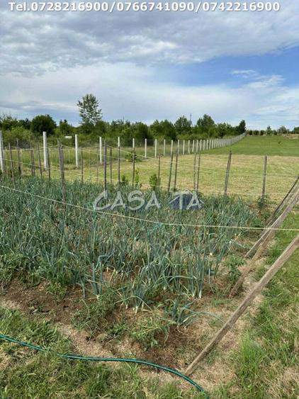 Teren Construcții intravilan de 5000 mp, în Lelești