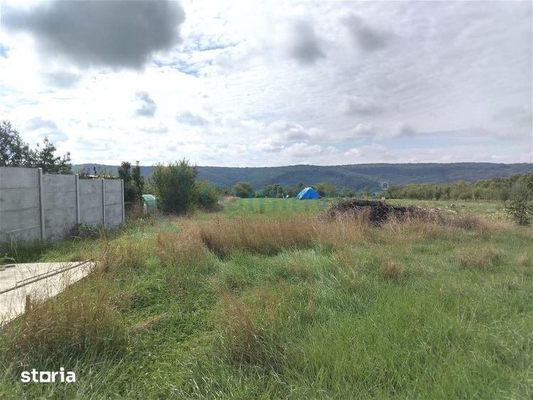 Teren de 3250 mp, în Betfia