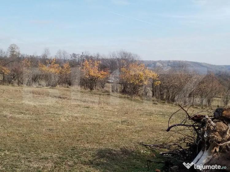 Teren de 3360 mp, în Aninoasa