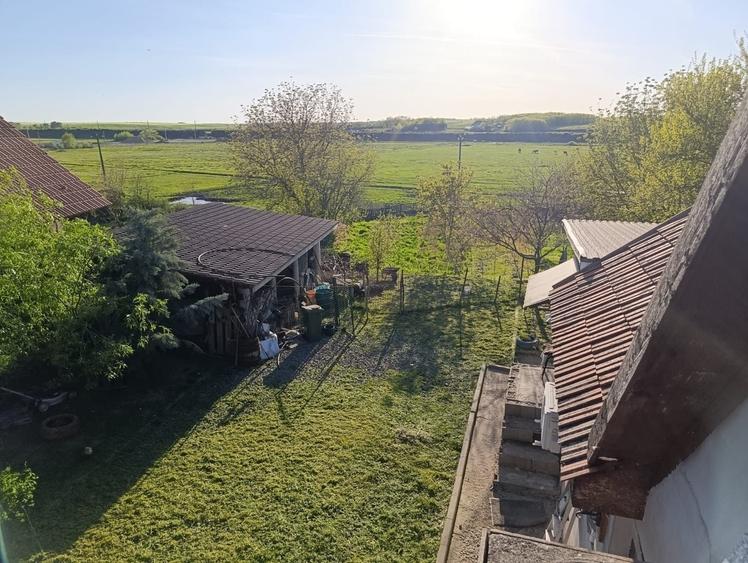 Casa mobilata si utilata in Vinga, teren 1300mp - 2