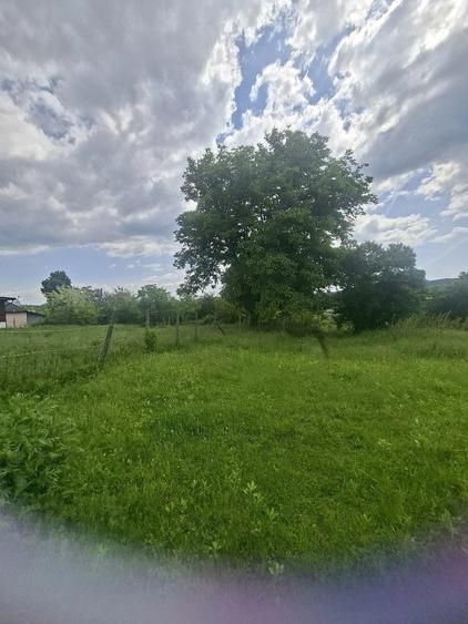 Teren de 5000 mp, în Central